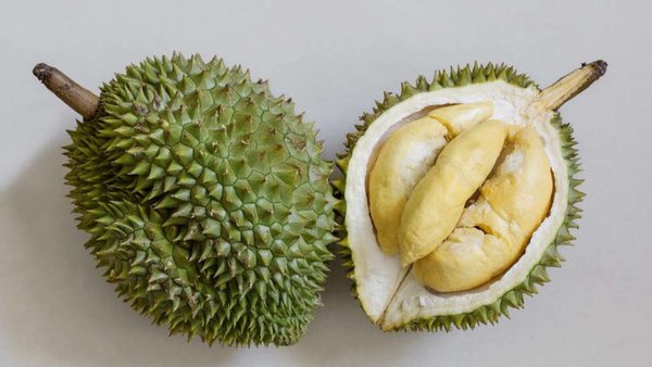 Russia’s Uralchem Targets Vietnamese Agricultural Sector 