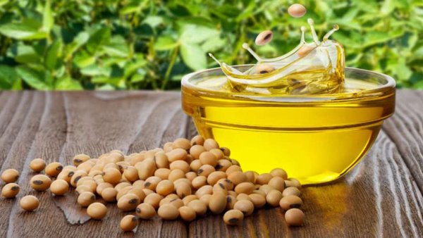 Russian 2025 Exports Of Soybean Oil To South Korea Up 3.2 Times