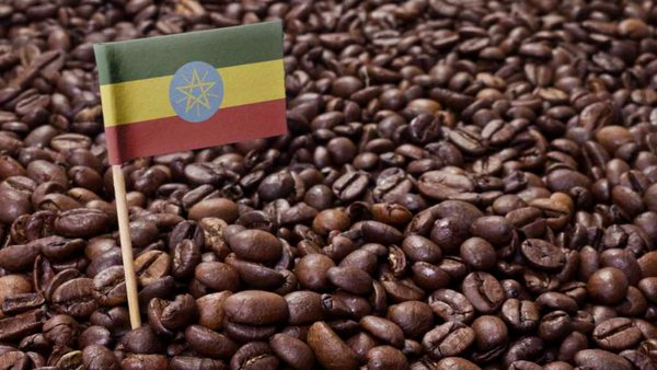 Russia, Ethiopia Bilateral Trade Tripled In 2025