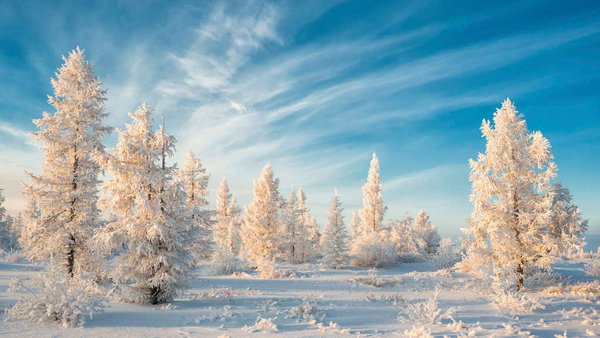 Proposals Made To Convert All of Siberia Into A Unified Special Economic Zone 