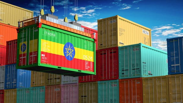 Russia’s Wildberries To Start Selling Ethiopian Products In Russia