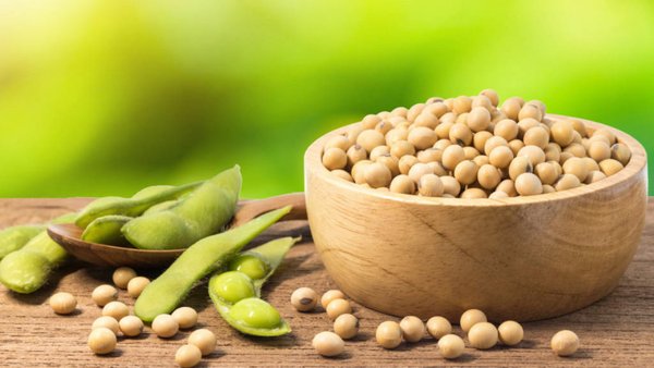 Russia’s Soybean Exports To China Highest Since 2023 