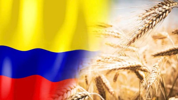 Russia Exports Wheat To Colombia For First Time In Three Years