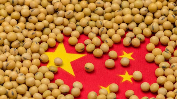 Russian 2026 Agricultural Exports To China Up 40% In 7M