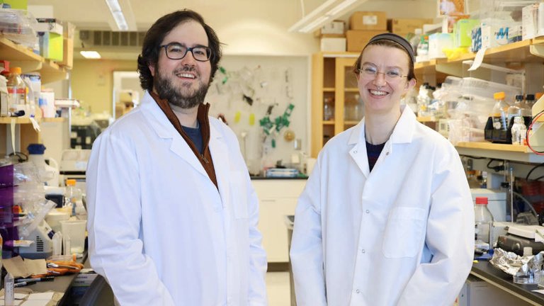 Russia’s Foreign Talent Programme Attracts Overseas Professionals 