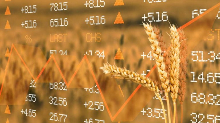 BRICS Countries Continue To Work On A Grain Exchange
