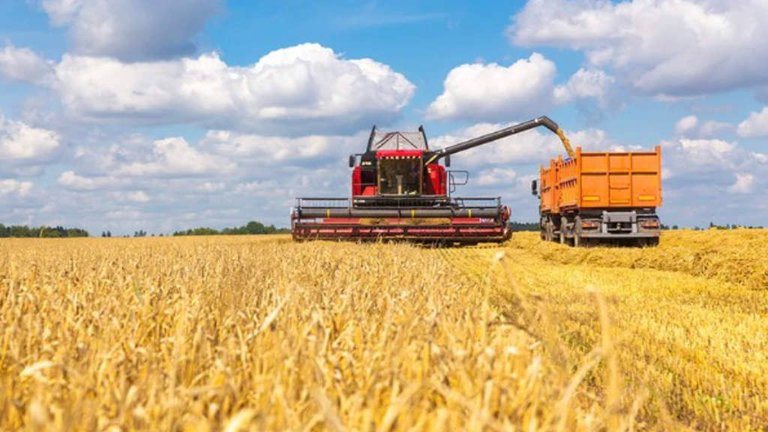 Russian 2026 Grain Harvest Achieves Domestic Self-Sufficiency-Exports To Friendly Countries To Follow
