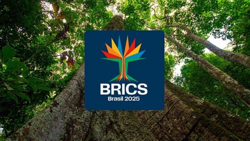 BRICS Brazil