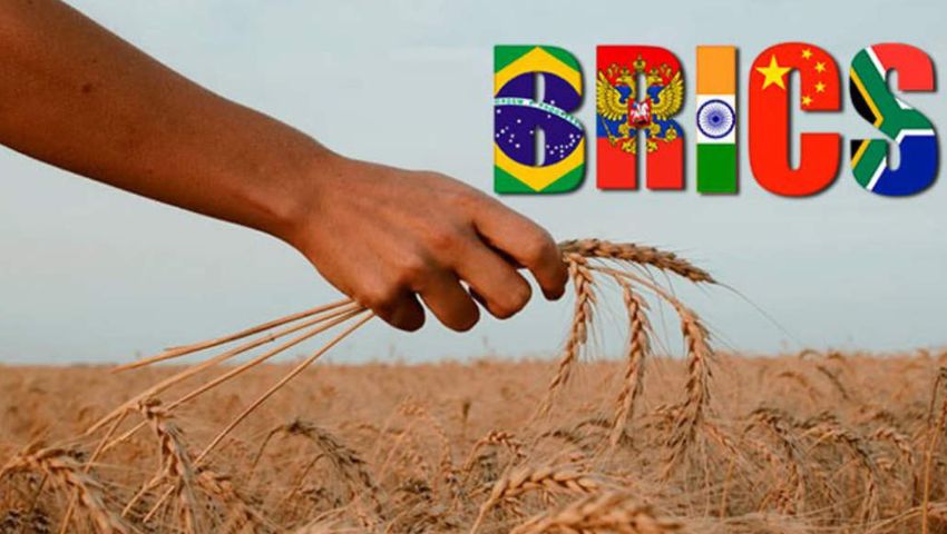 BRICS-Grain