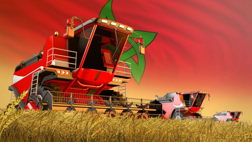 Morocco Agriculture
