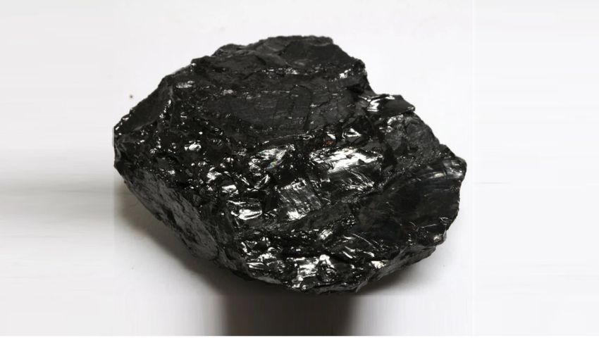 Coal