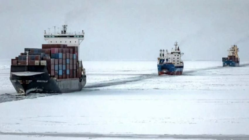 Murmansk Shipping