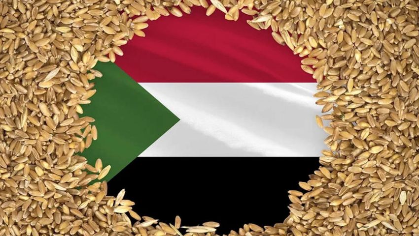 Sudan wheat