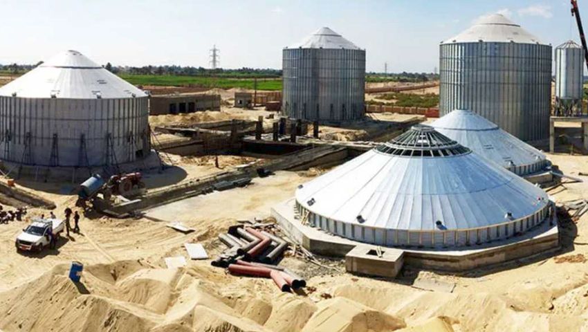 Egypt Agricultural Trade