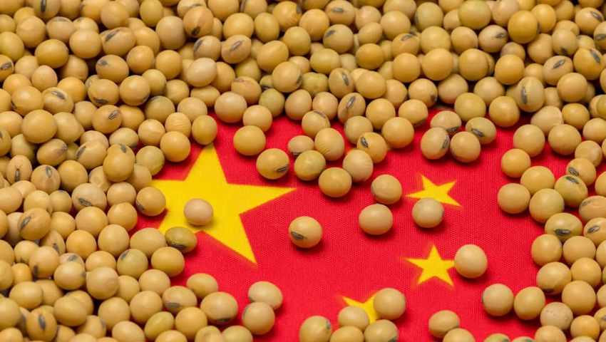 Agriculture Exports
