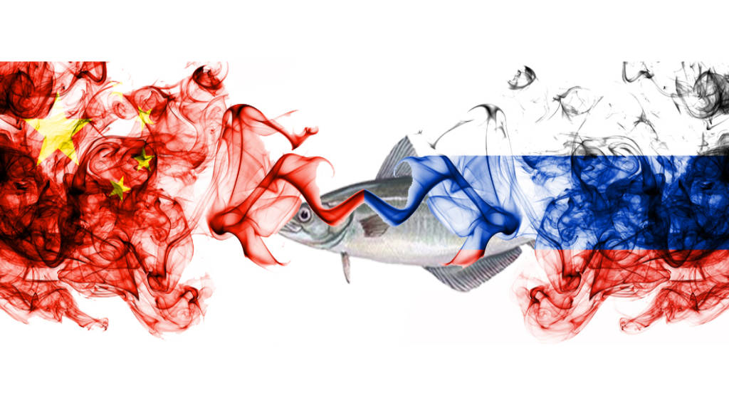 China Russia Flags Fish