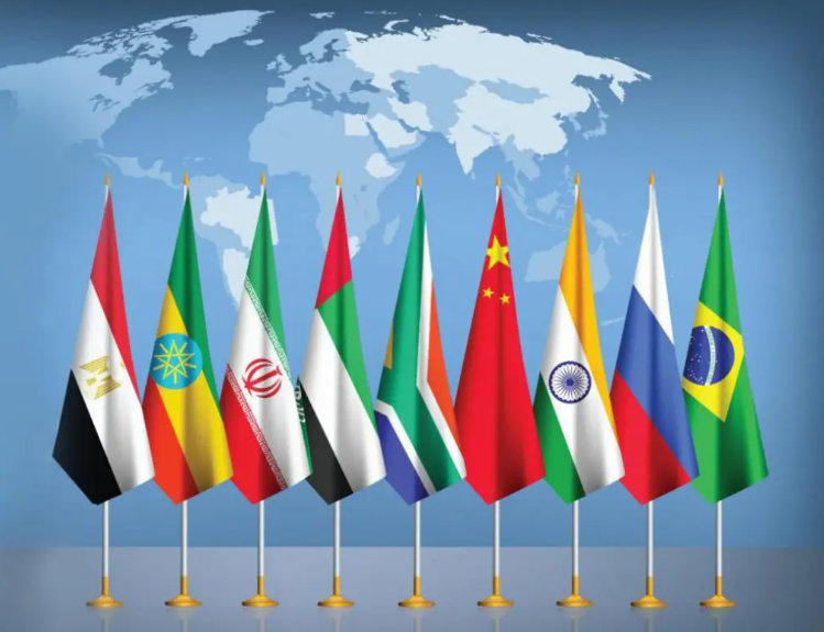 BRICS Flag