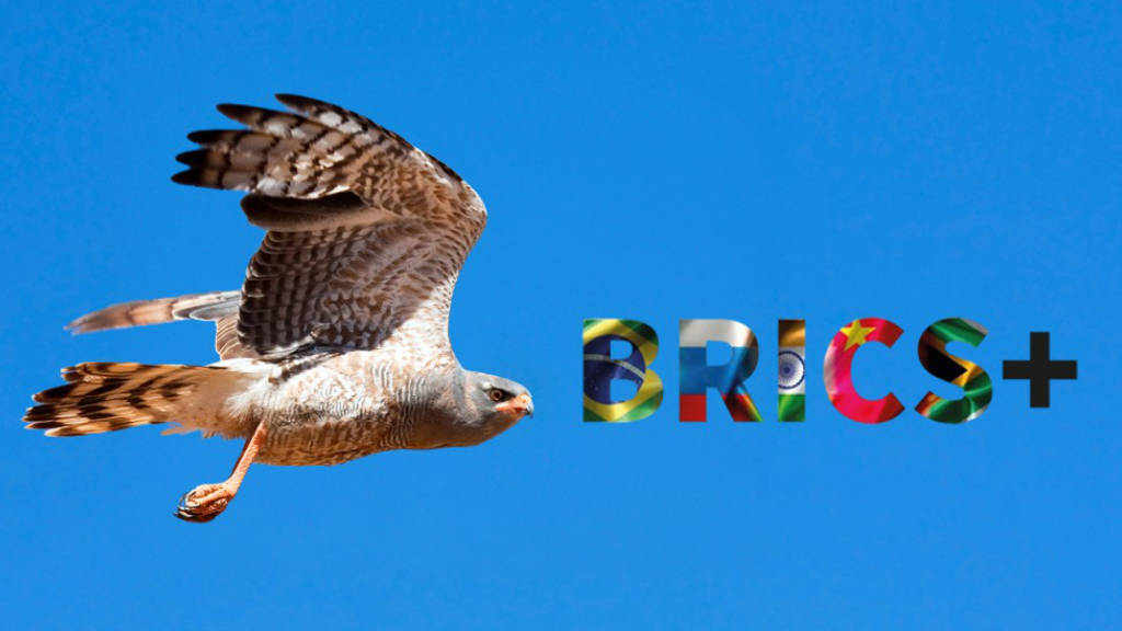 Falcon BRICS+2