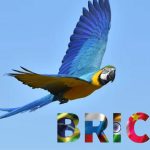 Macaaw BRICS+