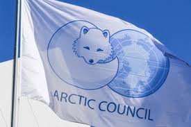 Artic Council