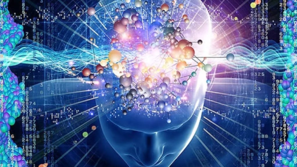 IQ