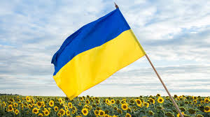 Ukraine Flag