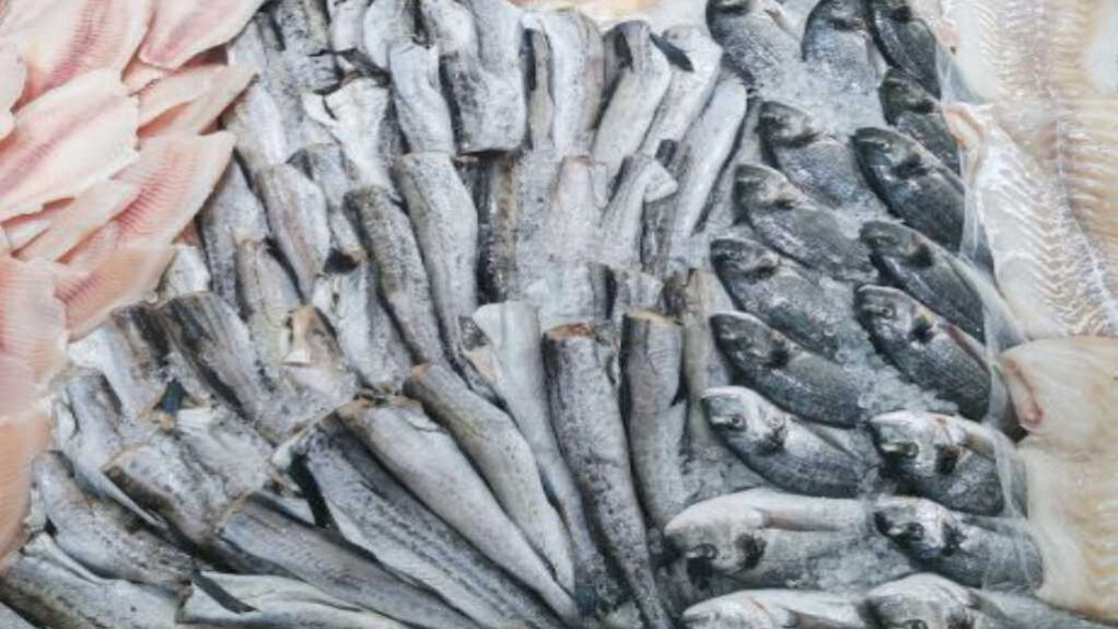 BrazilFish