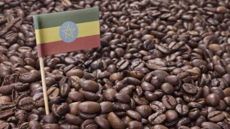 EthiopiaTrade