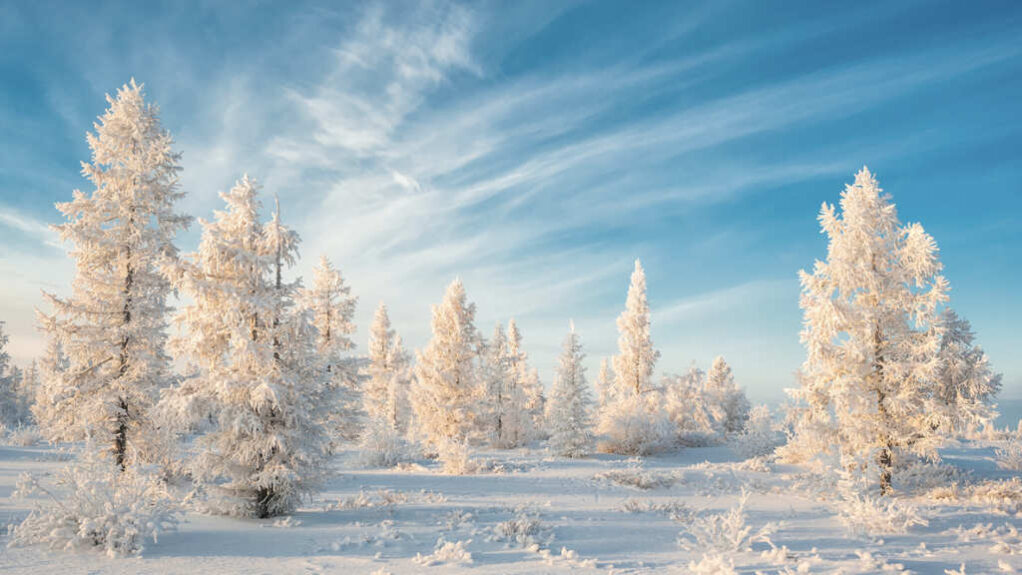 Siberia Economic Zone