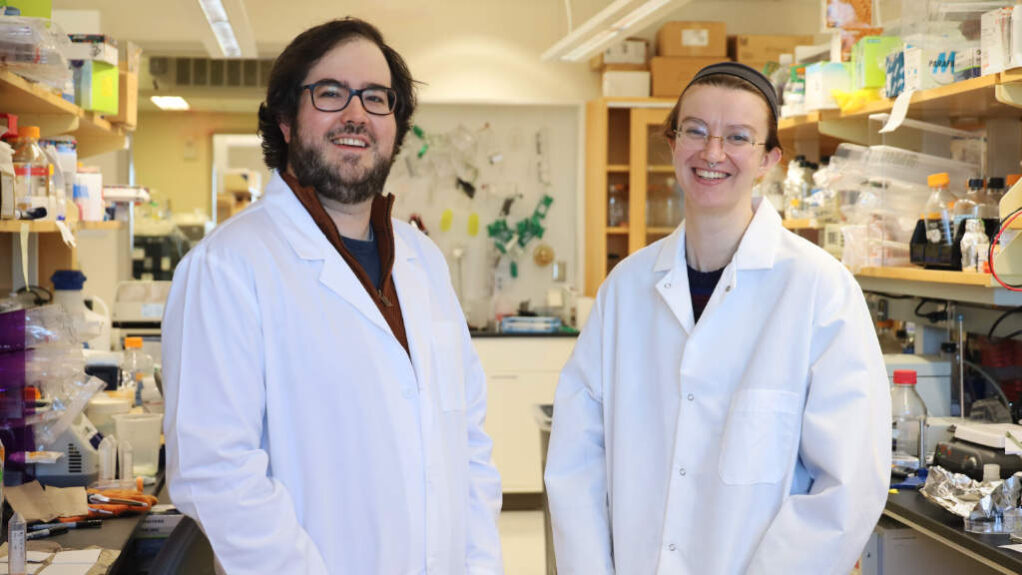 В России запустили портал по привлечению иностранных талантов из-за рубежа