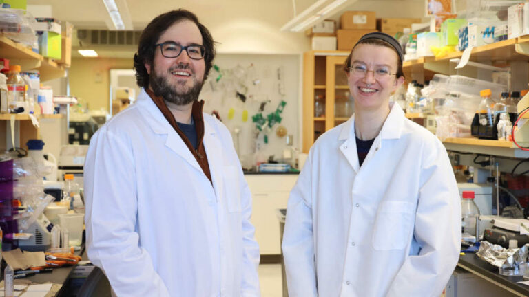 В России запустили портал по привлечению иностранных талантов из-за рубежа