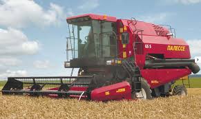 Grain