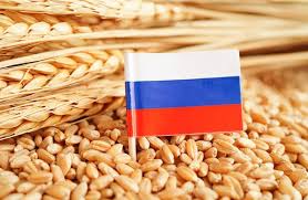 Grain