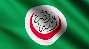 OIC Flag