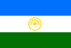 Bash flag