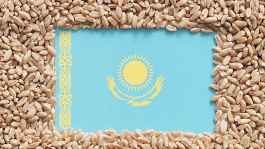 Экспорт российской сельхозпродукции в Казахстан вырос на 24 % в 2026 году