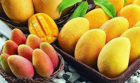 AgricultureE