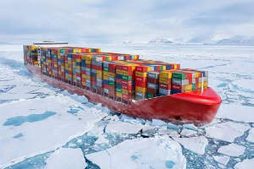 Artic