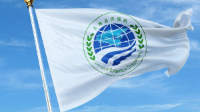 SCO flag