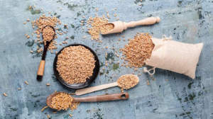 wheat