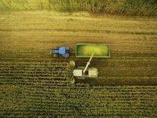 Agriculture