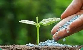 Fertilizer