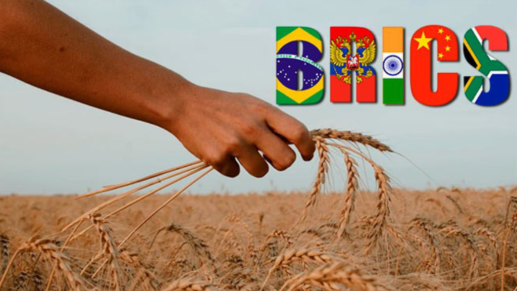 Russia Proposes Intra-BRICS Grain Trading Platform