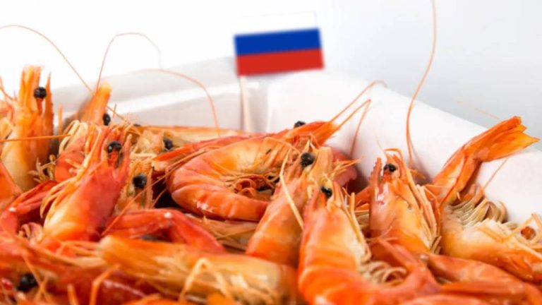 Prawns Russia