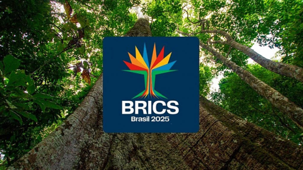 BRICS Brazil