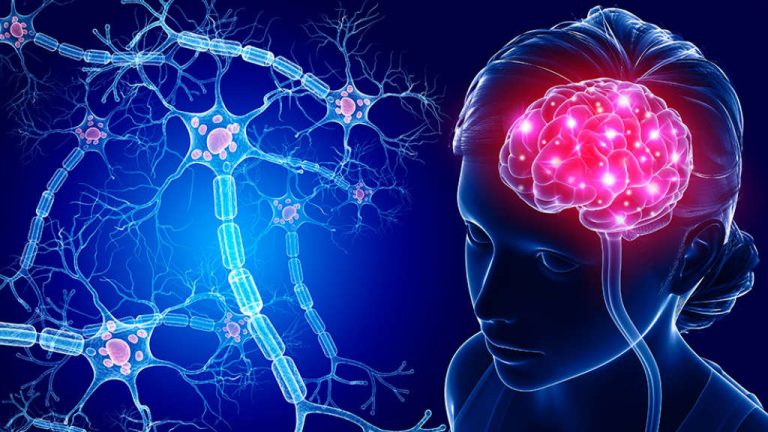 neuron
