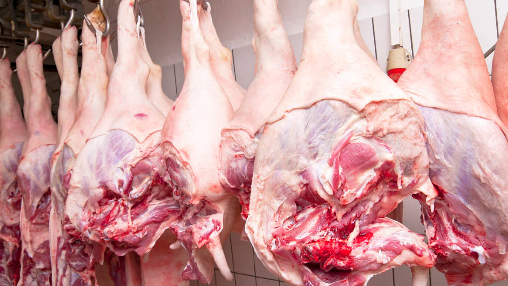 China Meat