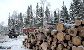 Timber image