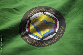 GCC flag