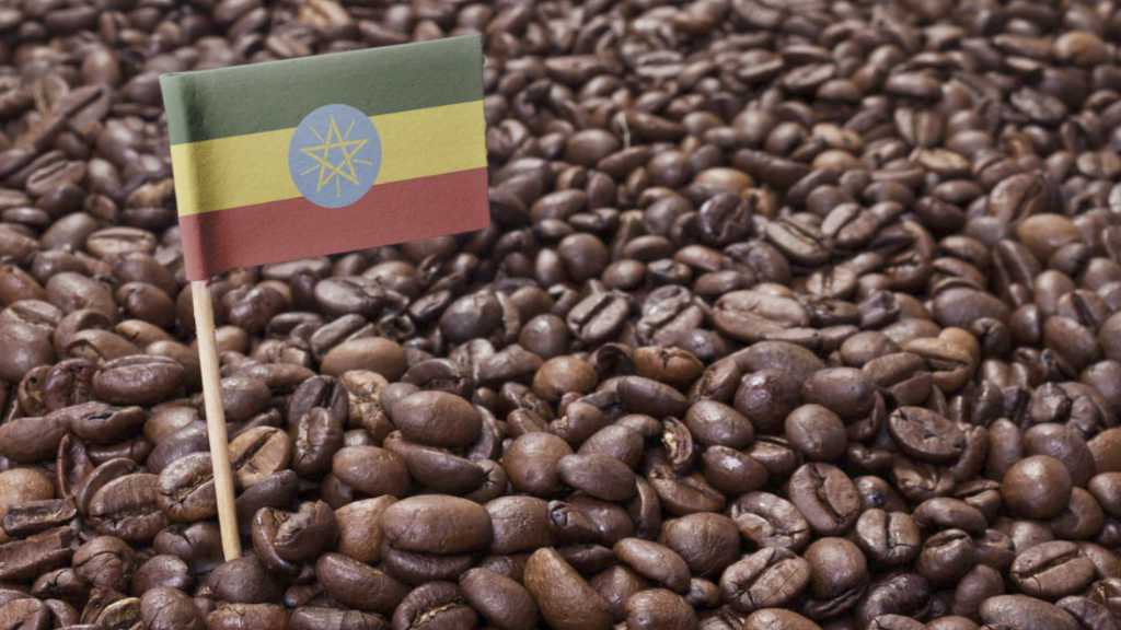 EthiopiaTrade